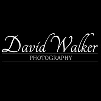 Essex Wedding photographer   David Walker Photography 1068917 Image 2